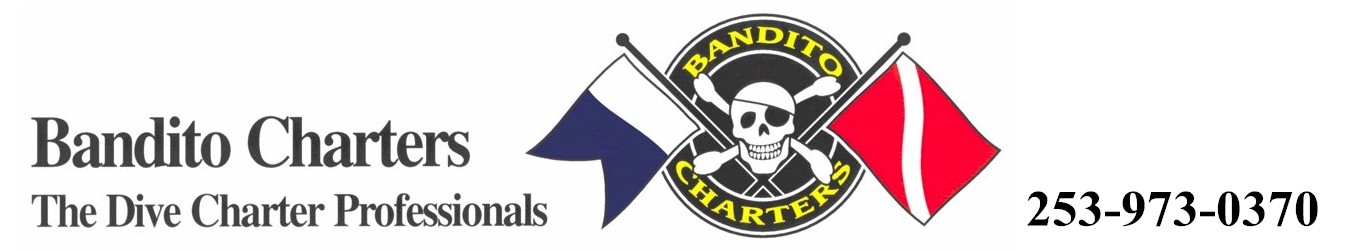 Bandito Charters Logo