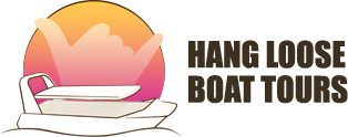Hang Loose Boat Tours logo